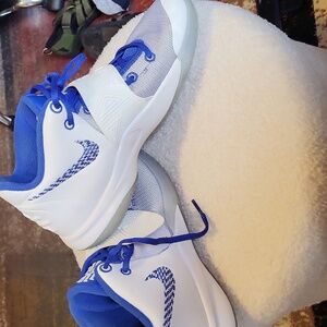 Nike Sneakers in Blue and White with Modern Design